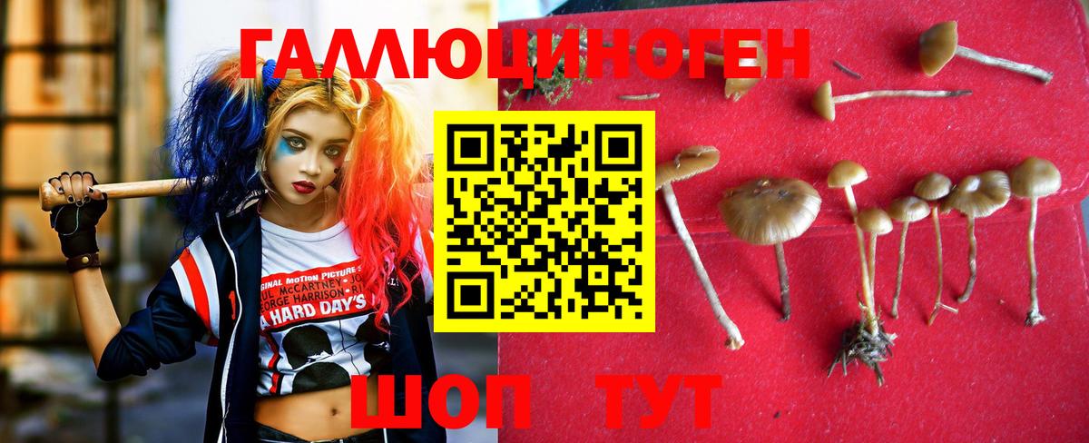 Галлюциногенные грибы мицелий Краснокаменск